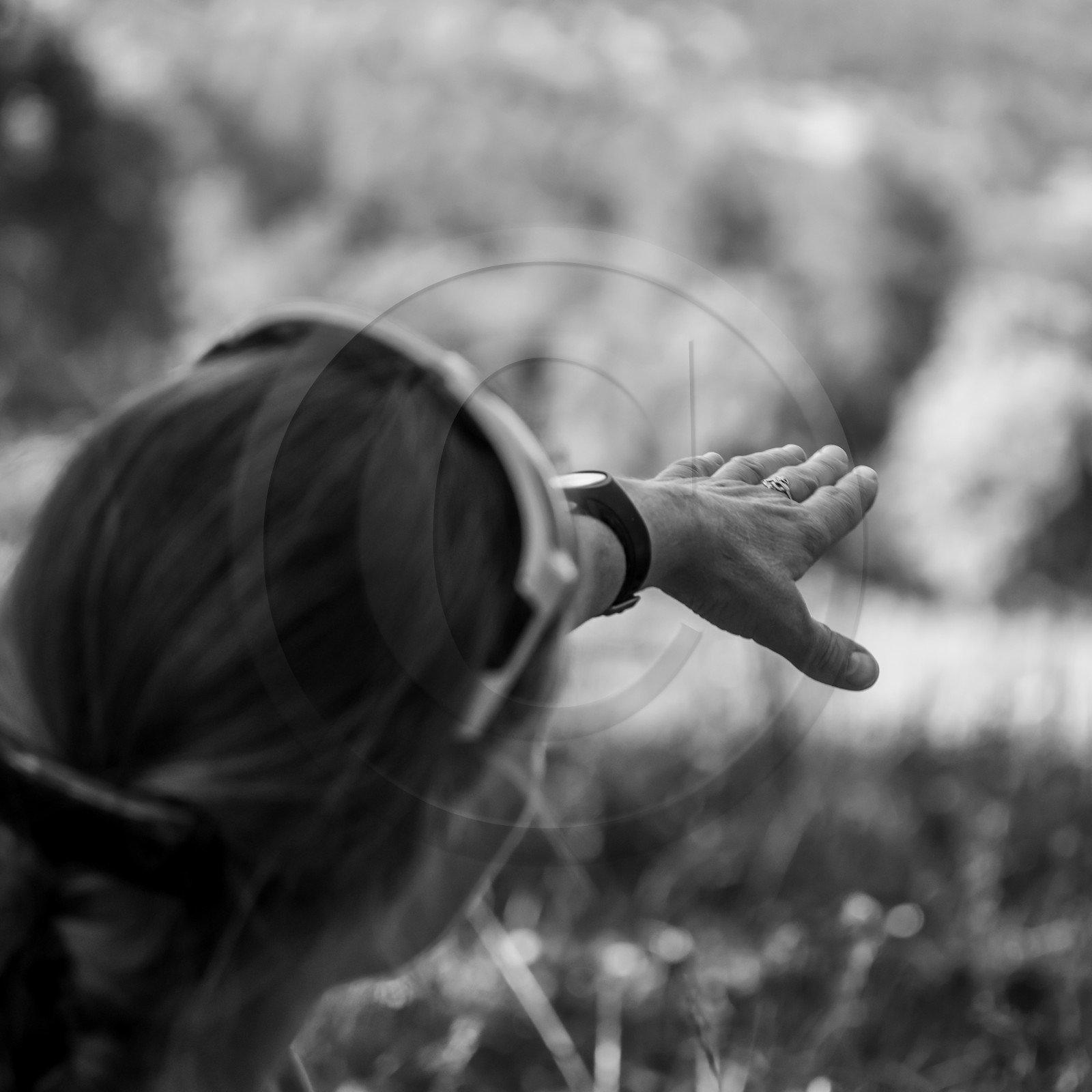 Arpenter le paysage avec Martin de la Soudière