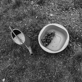 20 avril 2022 : des contes, des pommes de terre et un petit café