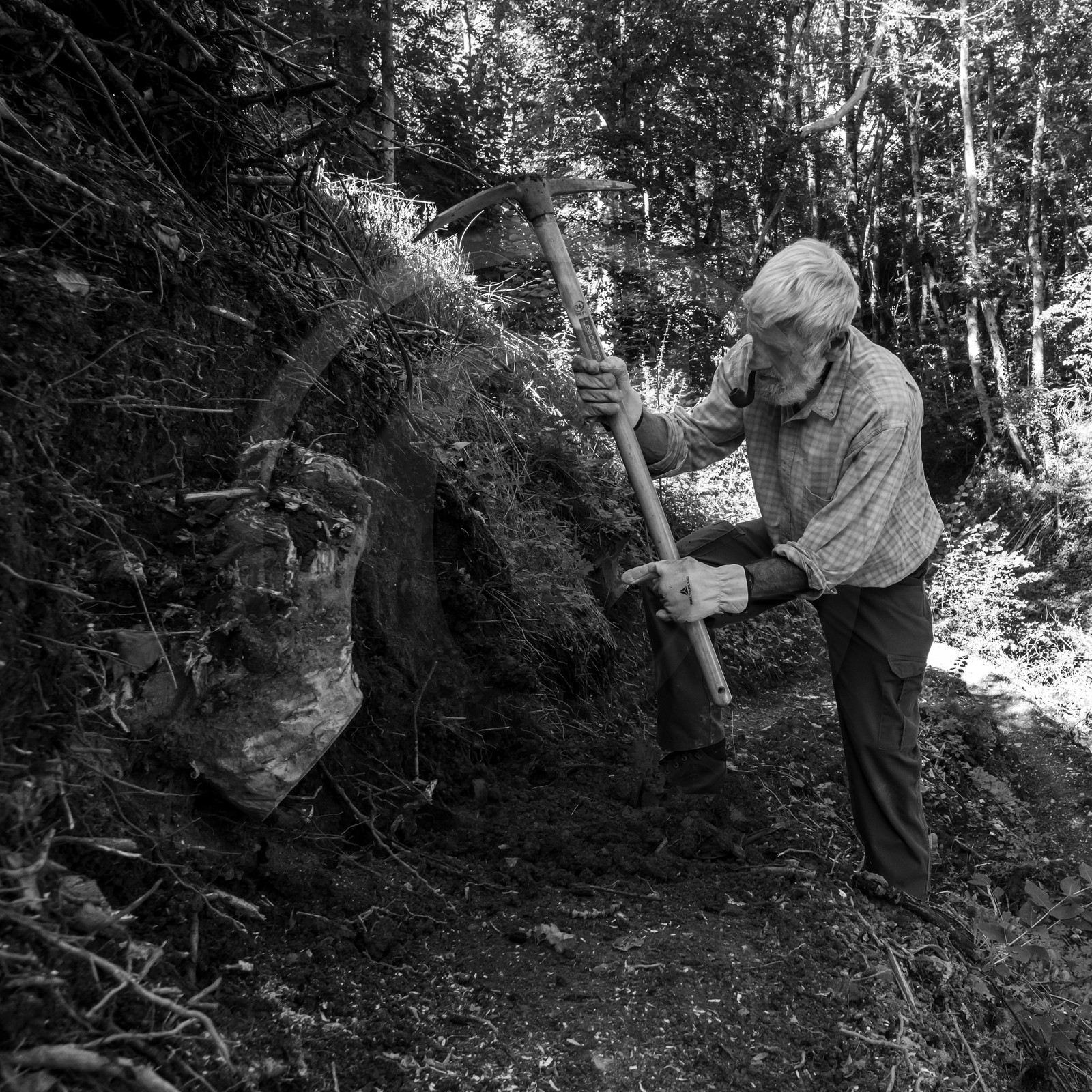 Activités au jardin
