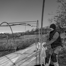 Montage de serres tunnel