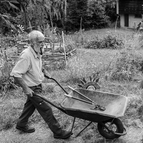 Promenades au jardin