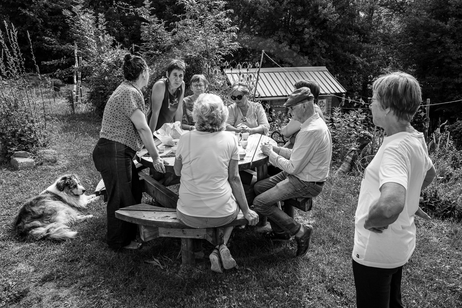 17 juillet 2023 : Journée des aidants et des aidés