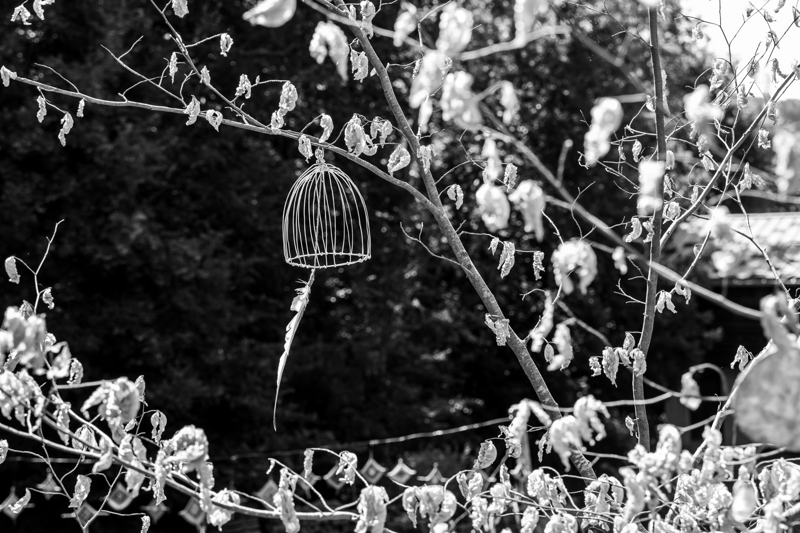 27 juin 2025 : Journée des aidants