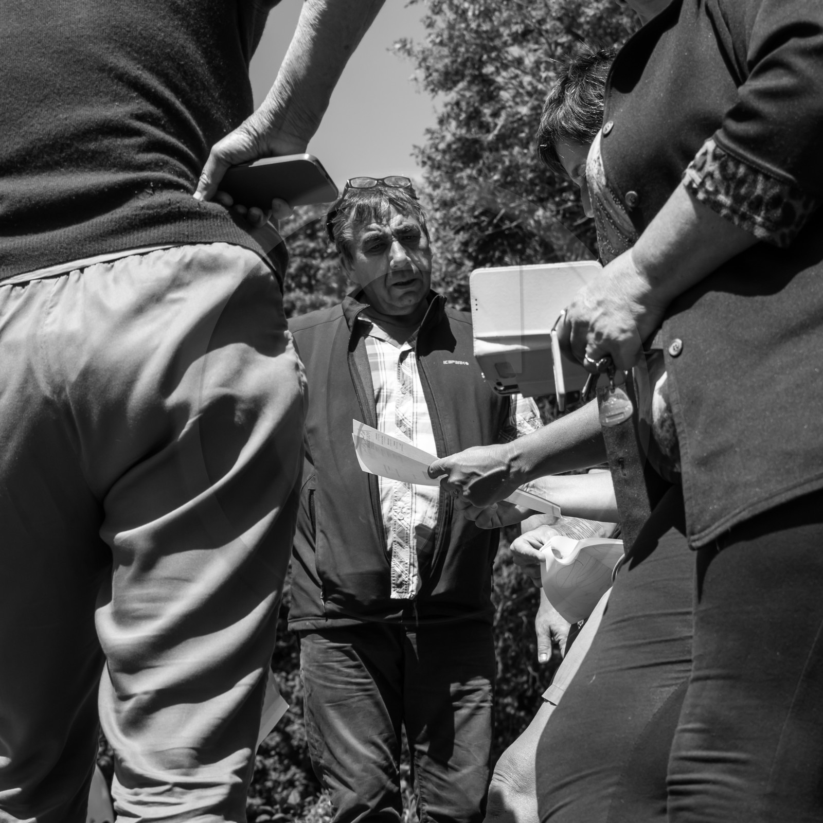 07 juin 2017 - Plantation - Haie - Réunion