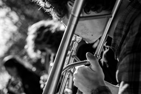 26 octobre 2025 : Les oiseaux de trottoir