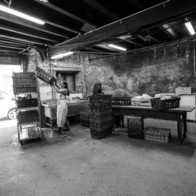 Maraichage biologique dans le Champsaur