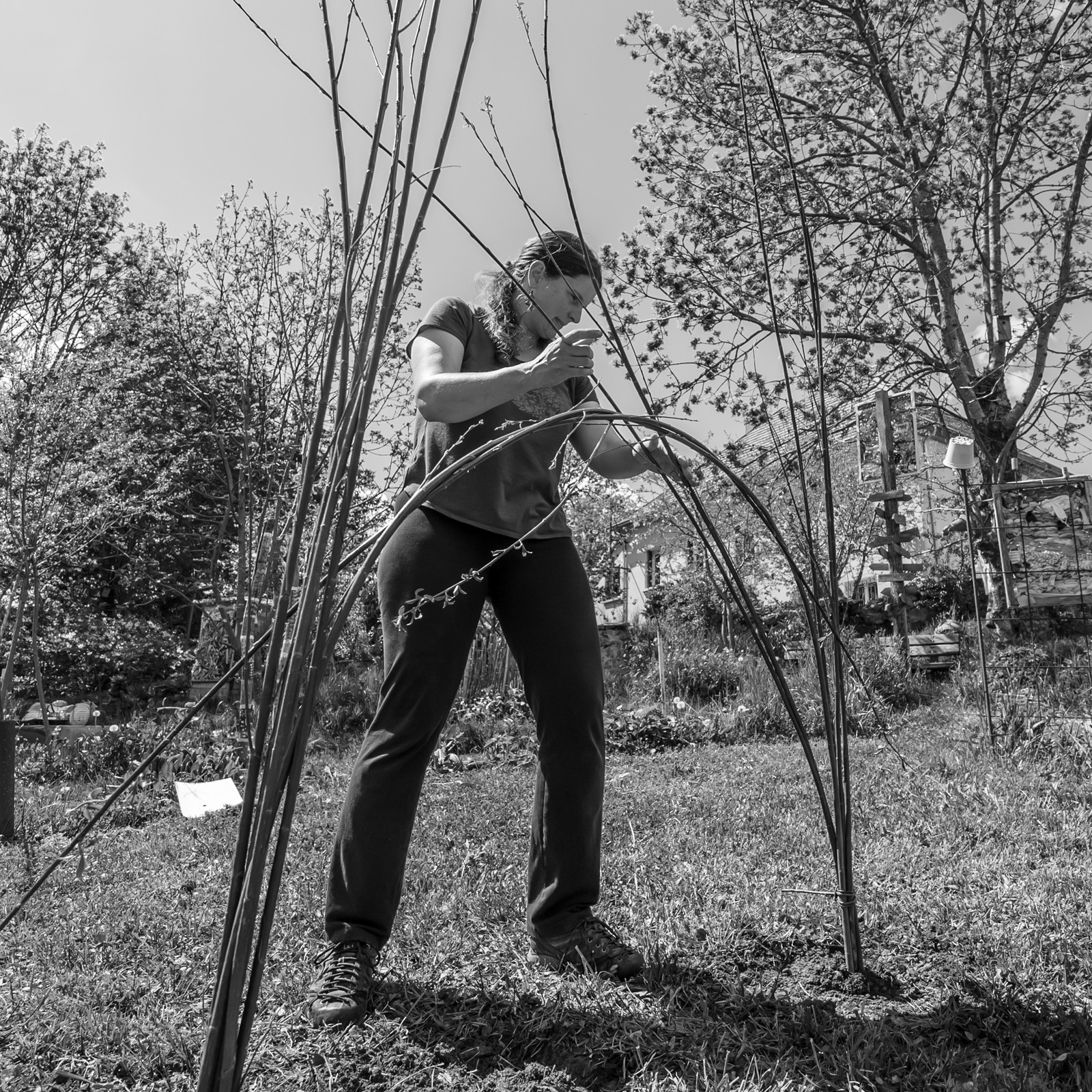 30 avril 2025 : Un oiseau en osier