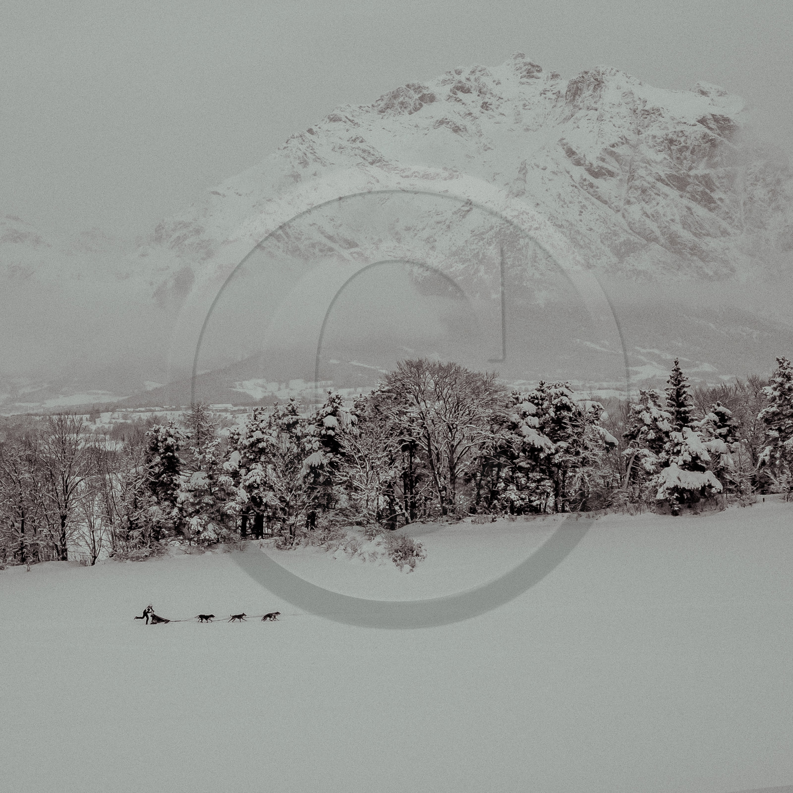 La Valgaude Traineau 2015