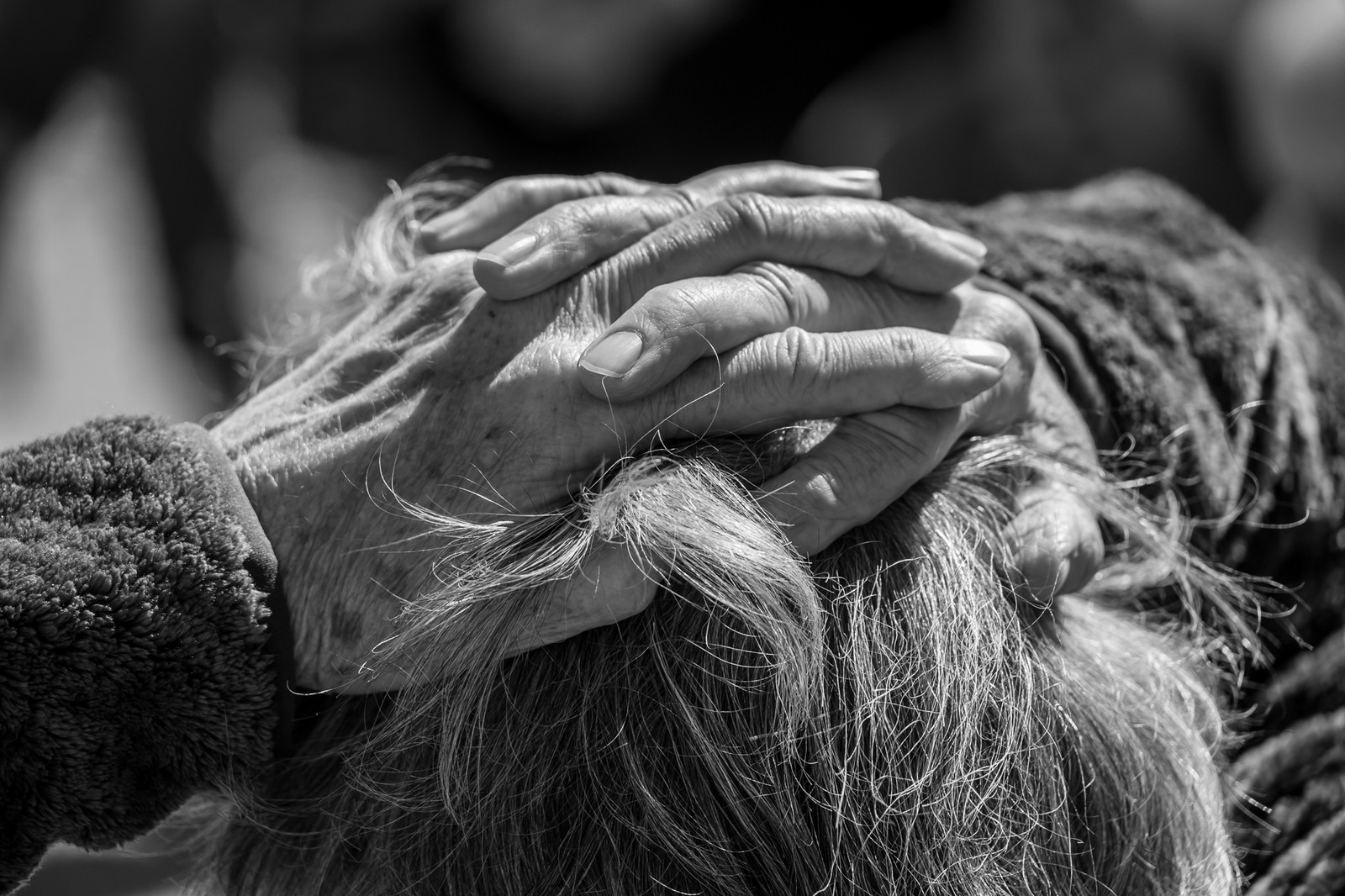 16 mai 2025 : Journée des aidants