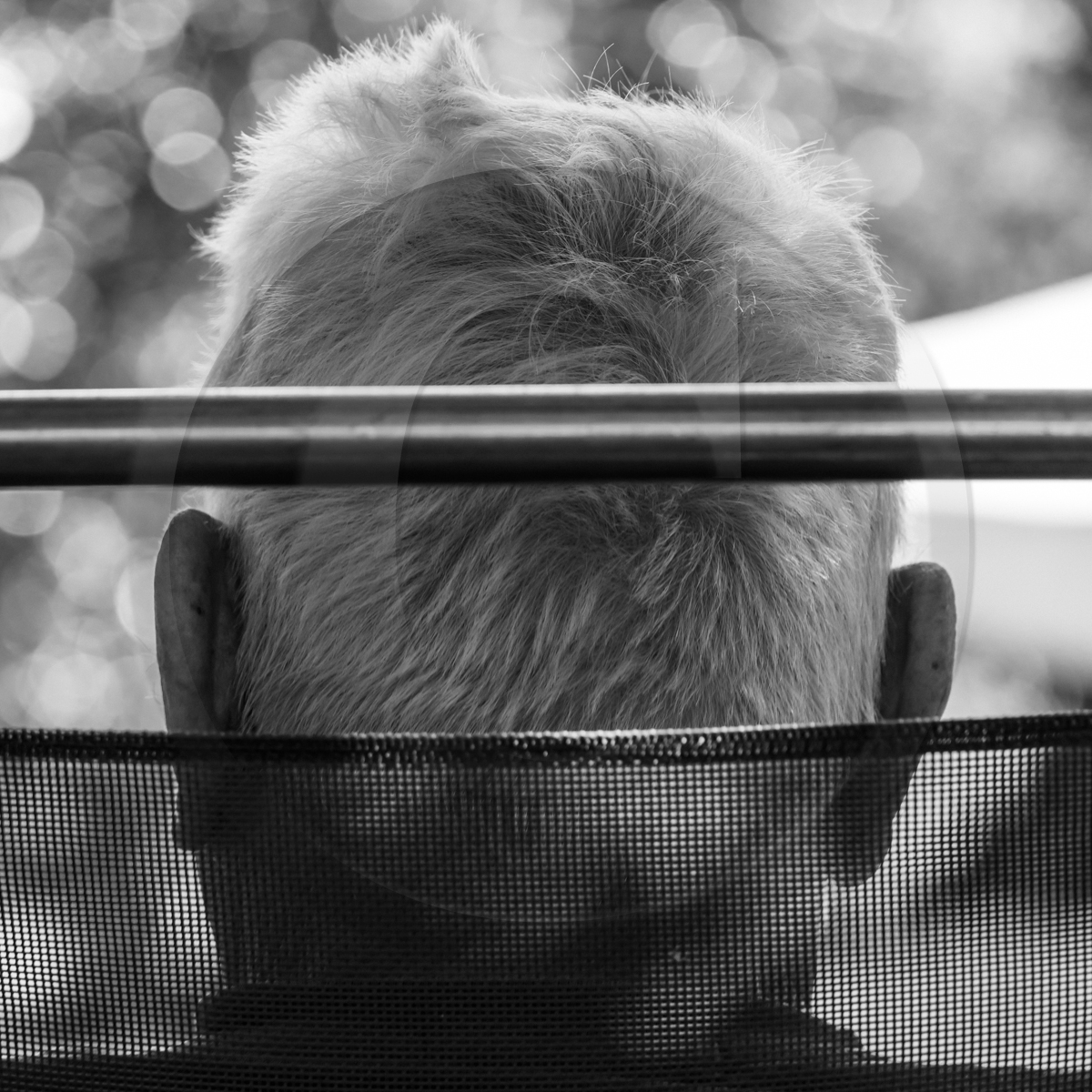 06 juillet 2022 : Sieste Musicale