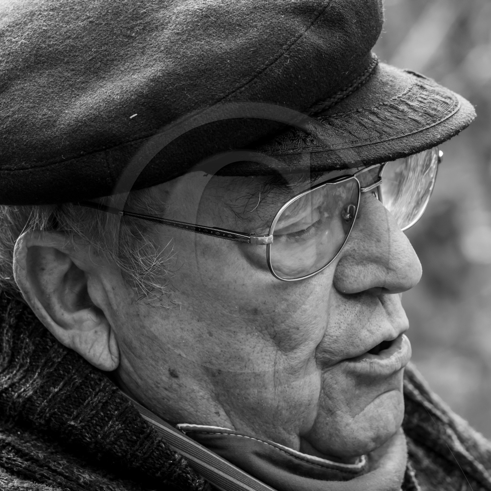 Semis, tournesols et jeux