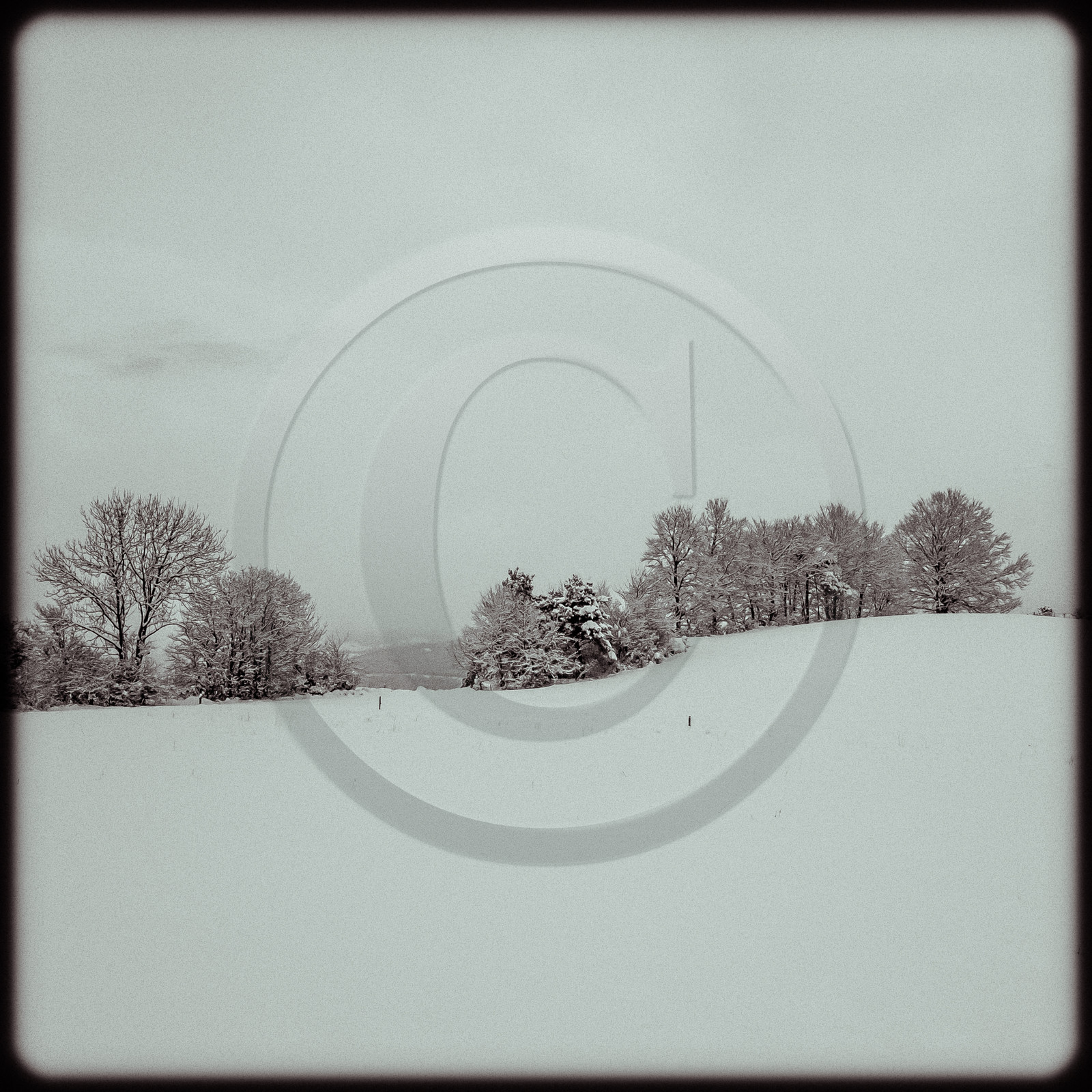 Paysage hivernal à Poligny