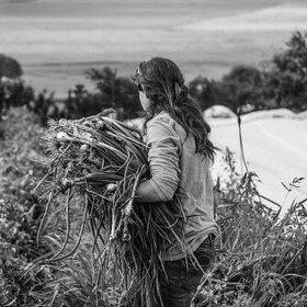 Maraichage biologique dans le Champsaur