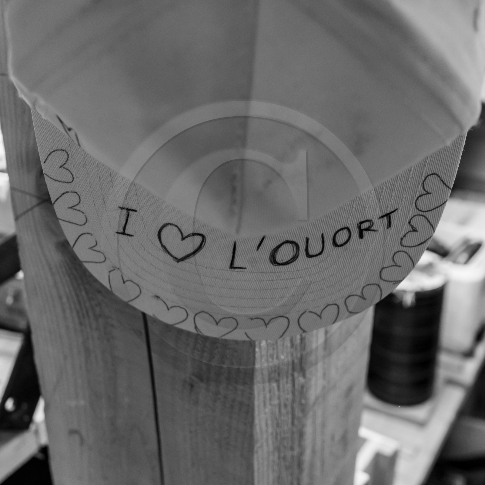 Semis, tournesols et jeux Semis, tournesols et jeux