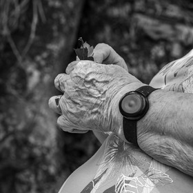 21 juin 2023 : Découverte botanique