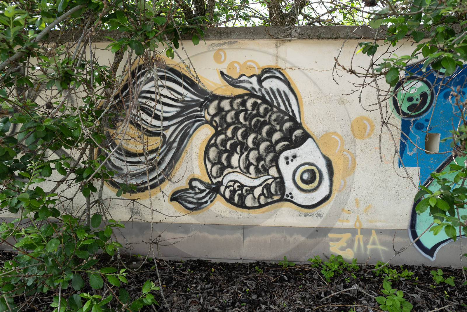 La Piscine de St Léger les Mélèzes