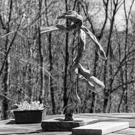 Atelier laine et promenade au jardin