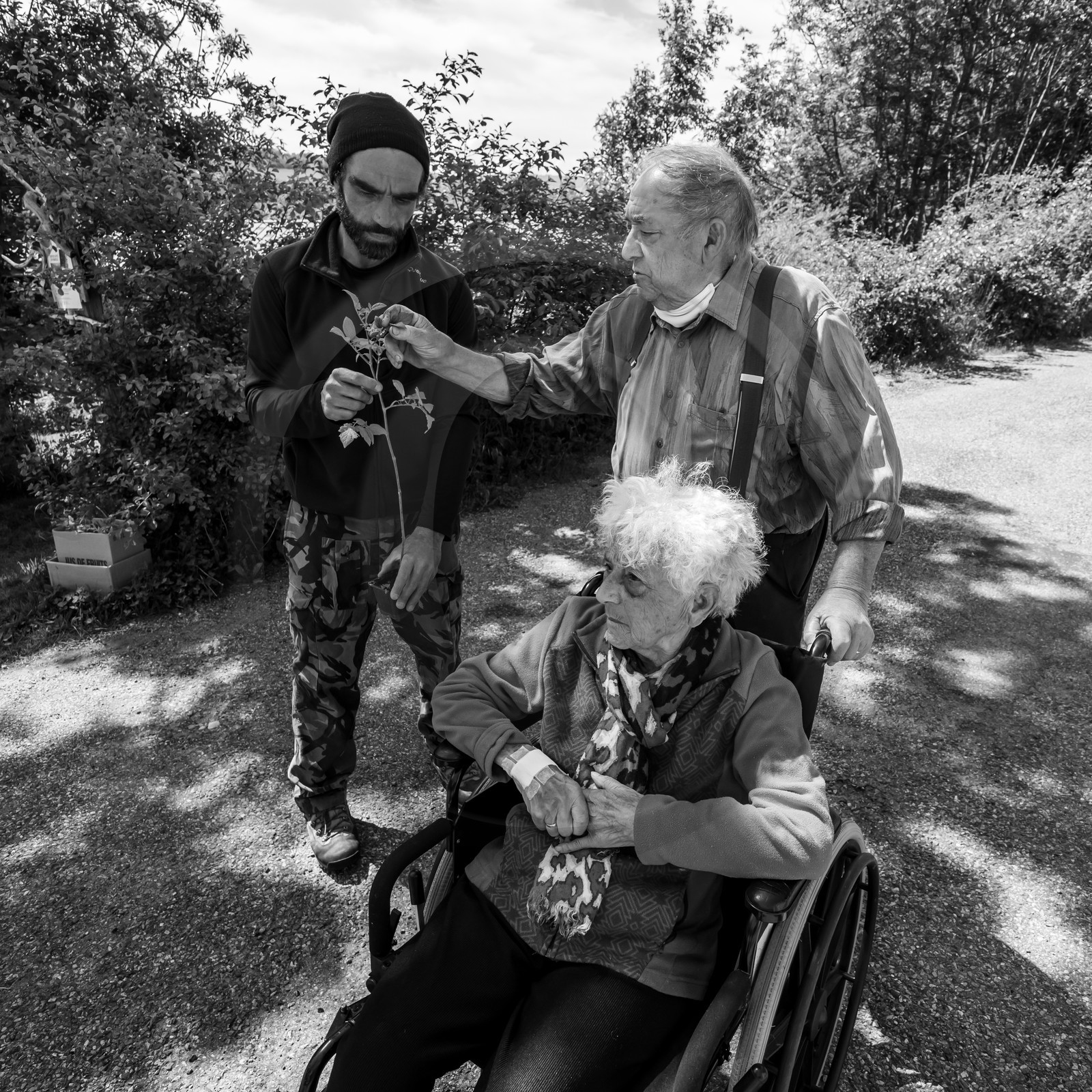 06 juin 2021 : Vide-Jardin et peinture végétale