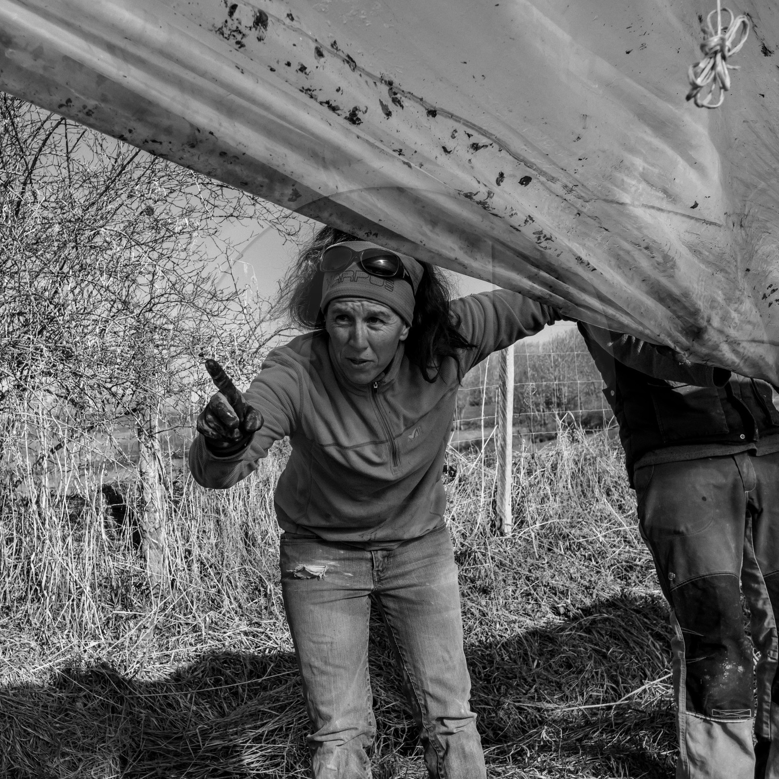 Montage de serres tunnel