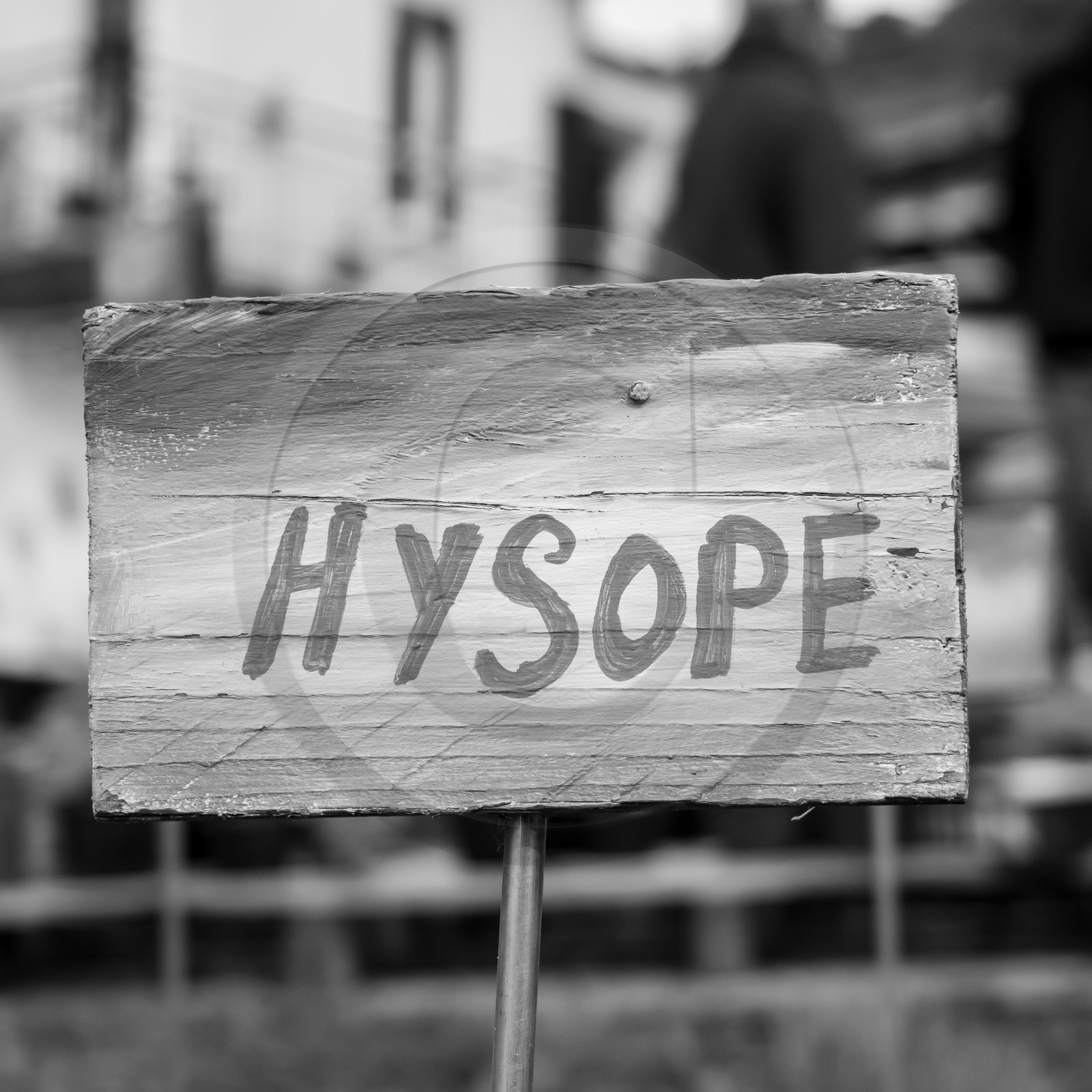 25 mai 2019 : Vide-Jardin de l'Ouort de Benevènt 25 mai 2019 : Vide-Jardin de l'Ouort de Benevènt