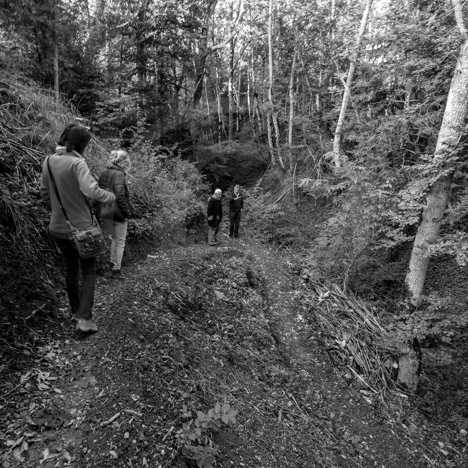 Visite du Conseil Municipal de Saint-Bonnet