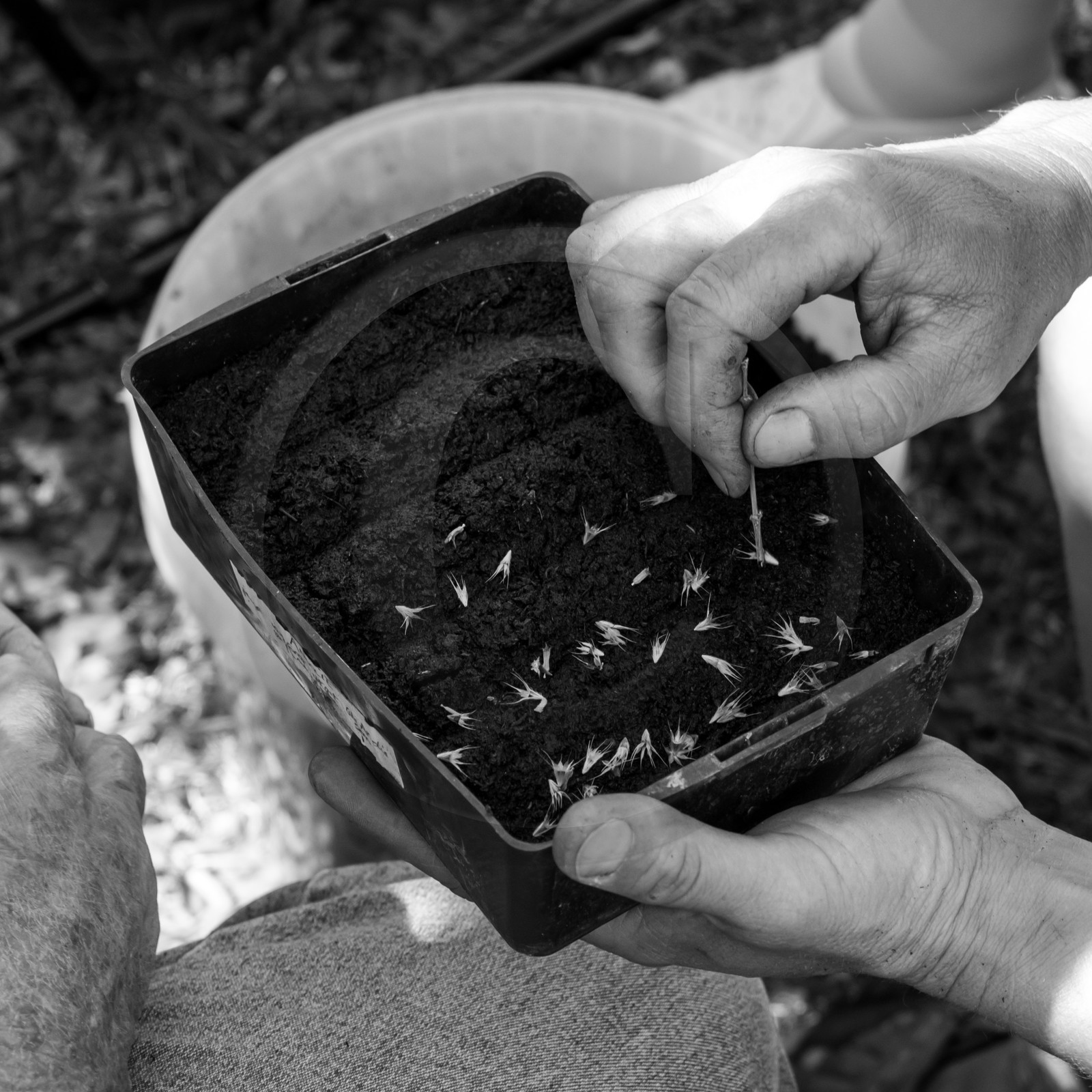 23 août 2017 - Animations 23 août 2017 - Animations