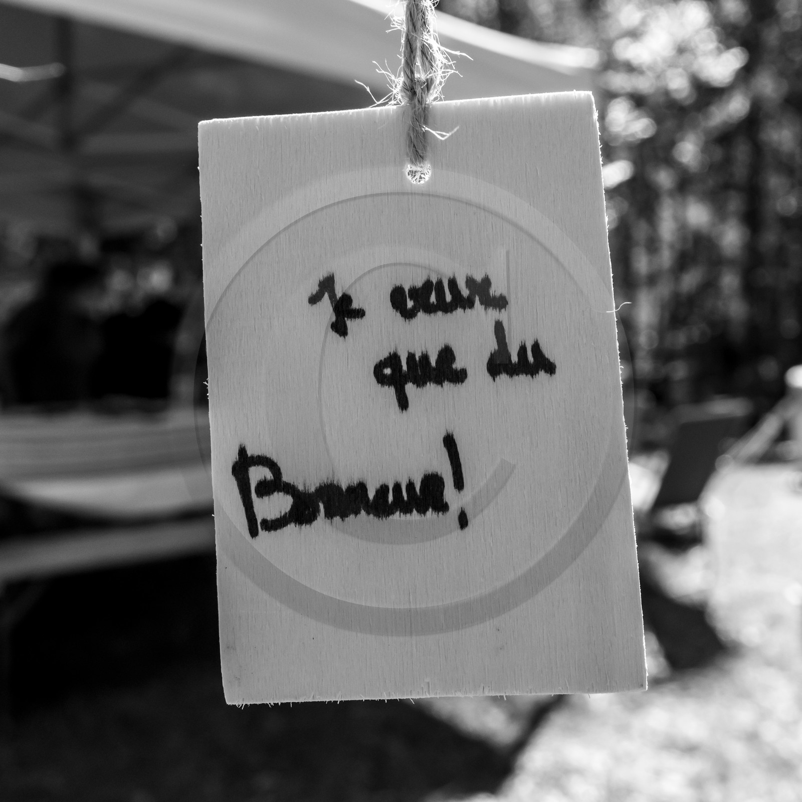 L'écho des mots