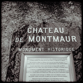 Le Château de Montmaur