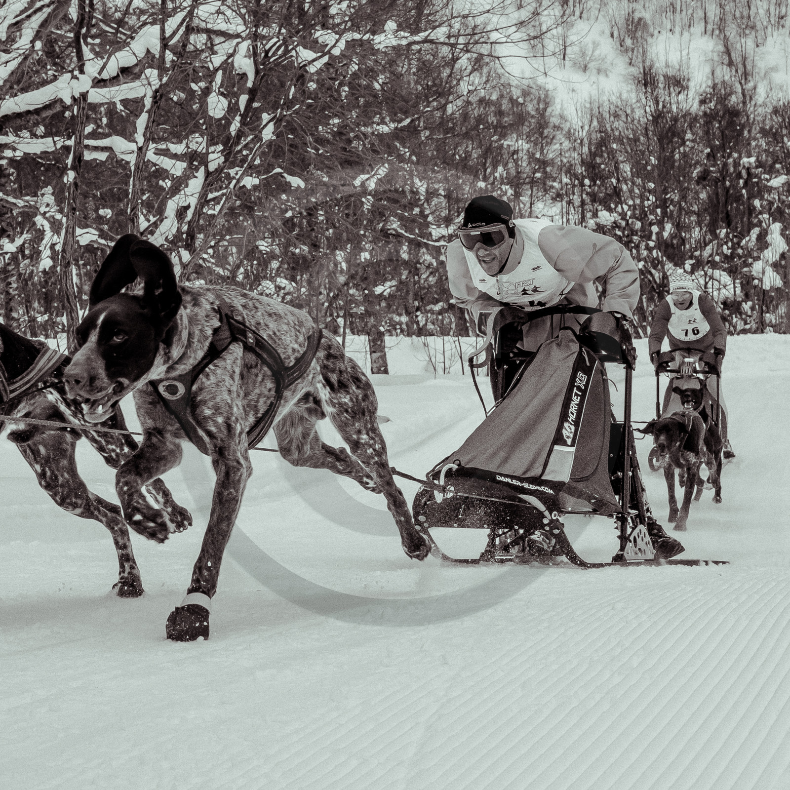 La Valgaude Traineau 2015