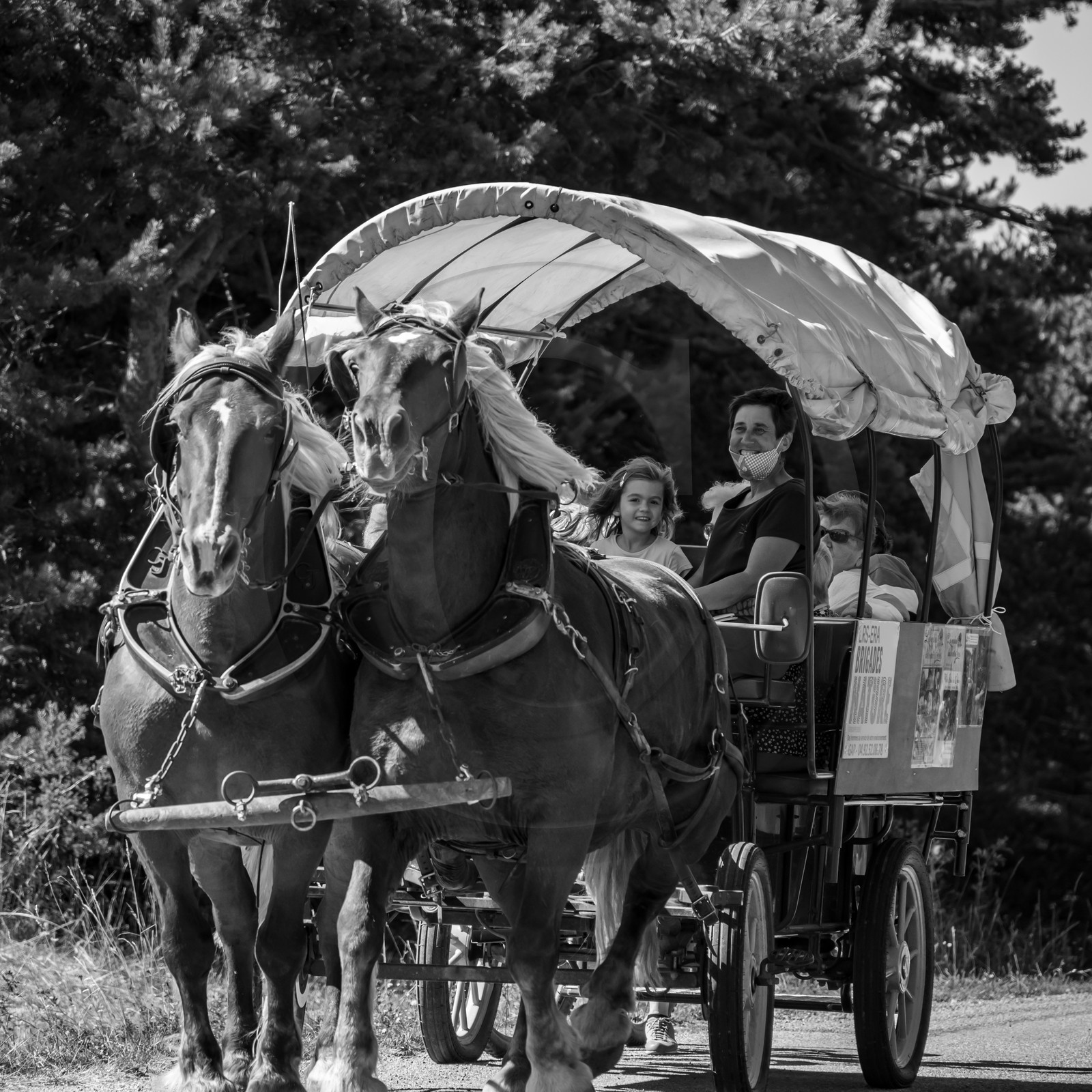 01 septembre 2021 : Promenade en cariole et contes