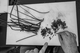 05 juillet 2023 : une cantine et des artistes