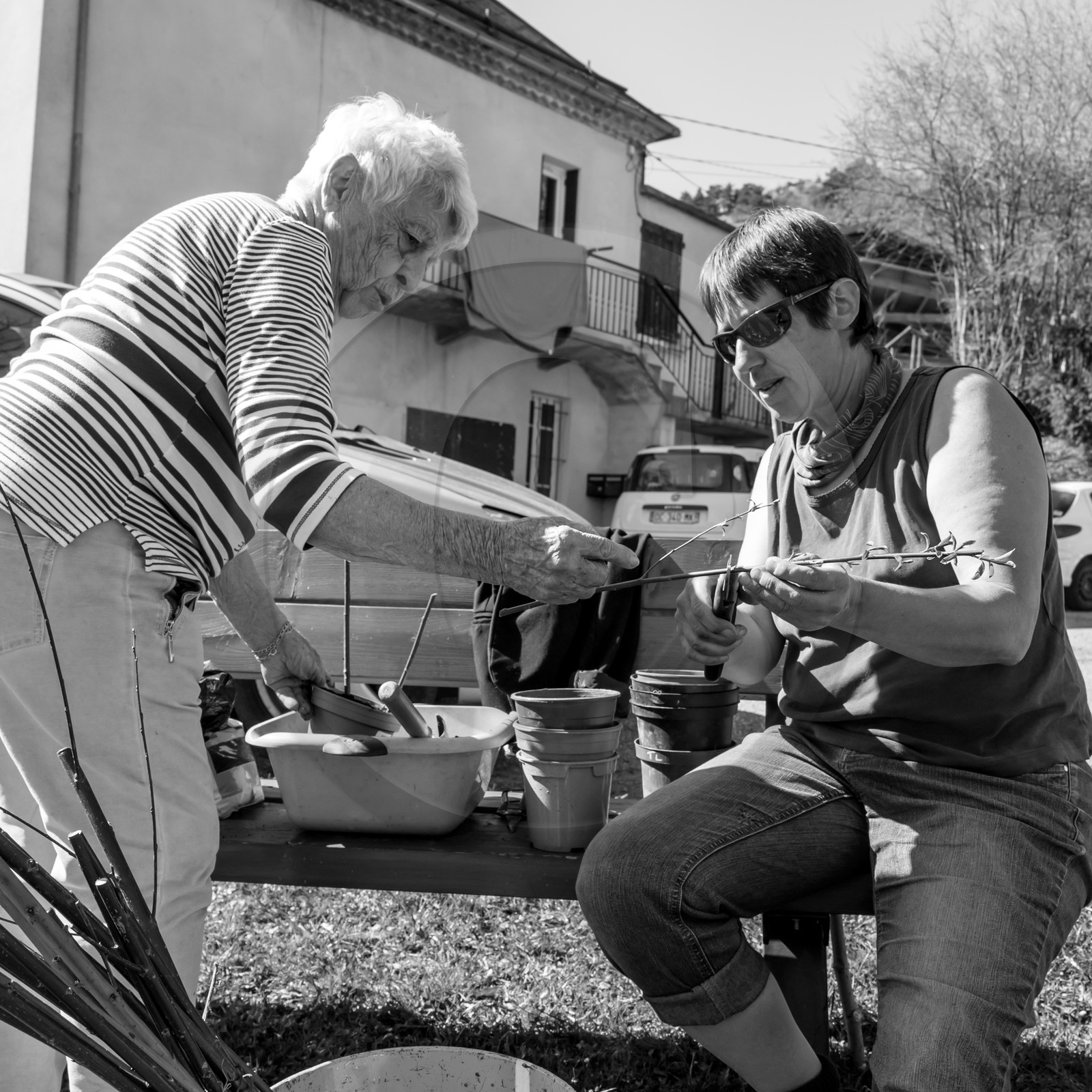 Nettoyage du terrain - Coupe du bois - 29 03 17