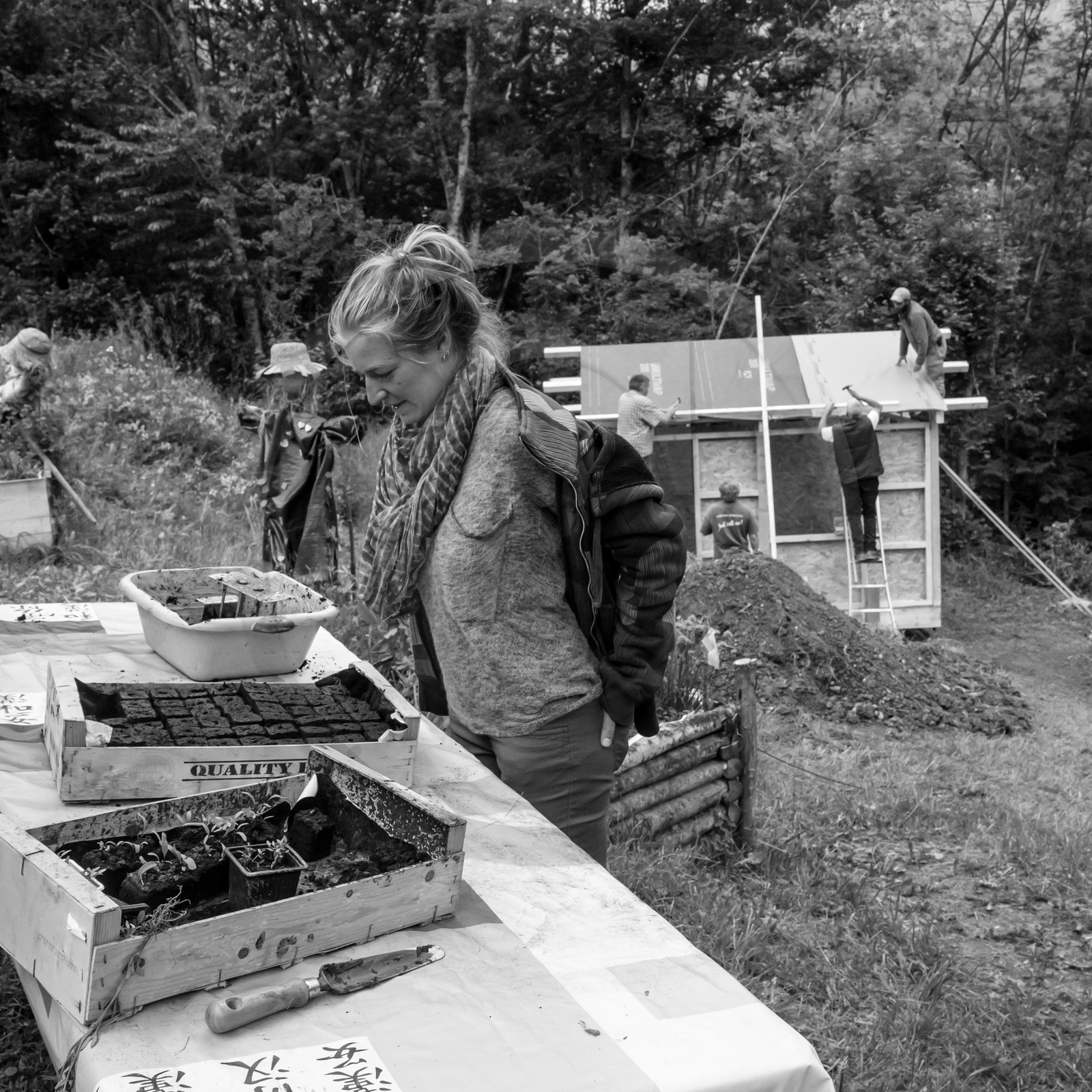 Son et semis Son et semis