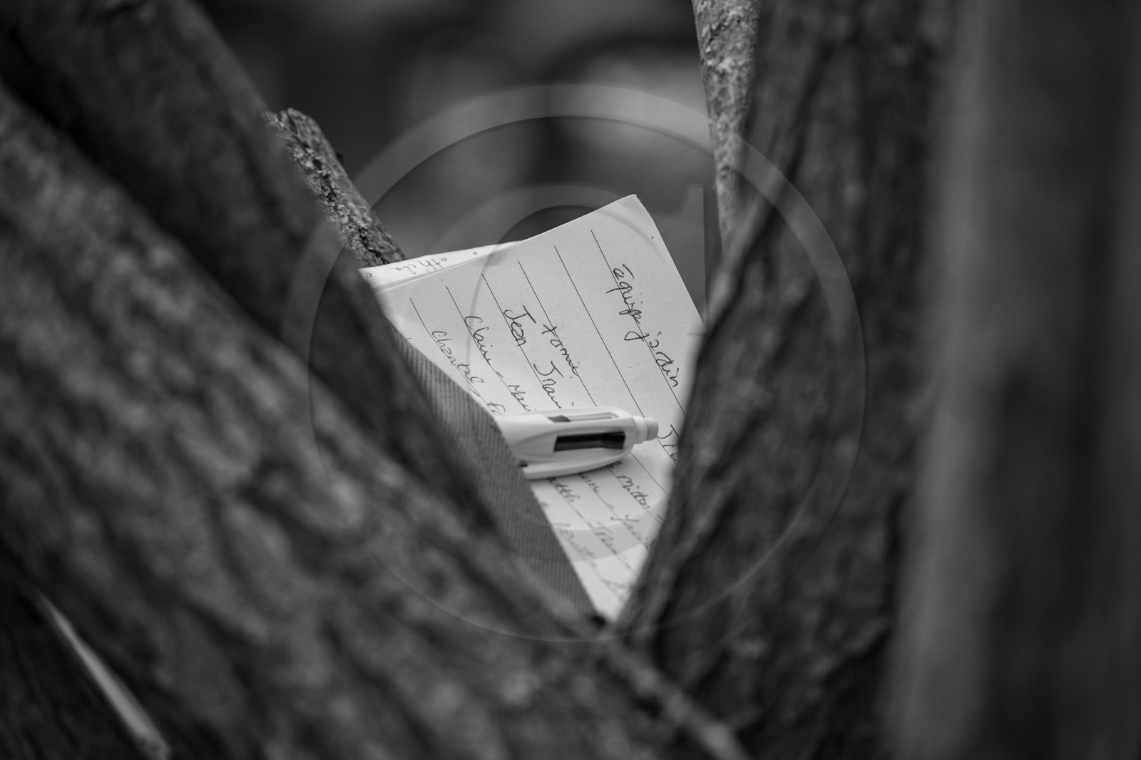 08 mai 2024 : Jeanne Alcaraz, cheffe de choeur, de retour à l'Ouort après la belle aventure 2023 où elle avait animé une chorale participative. 08 mai 2024 : Jeanne Alcaraz, cheffe de choeur, de retour à l'Ouort après la belle aventure 2023 où elle avait animé une chorale participative.