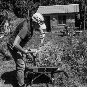 Activités au jardin