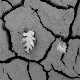 Serre-Ponçon, basses eaux