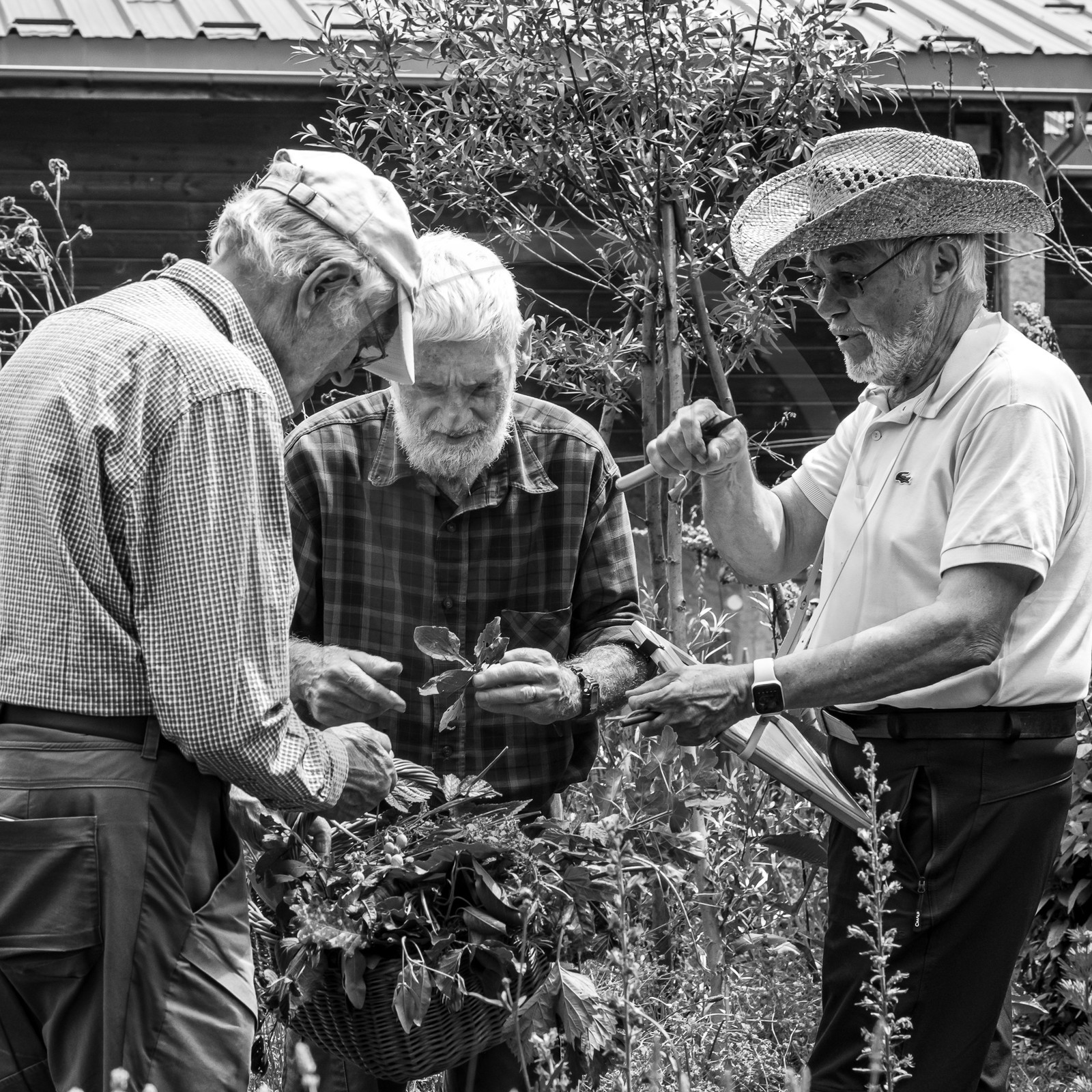 21 juin 2023 : Découverte botanique
