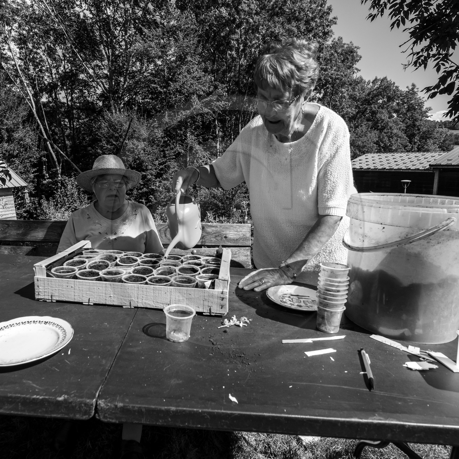 Activités au jardin