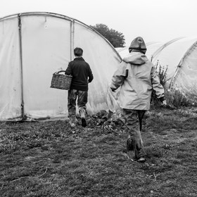 Maraichage biologique dans le Champsaur