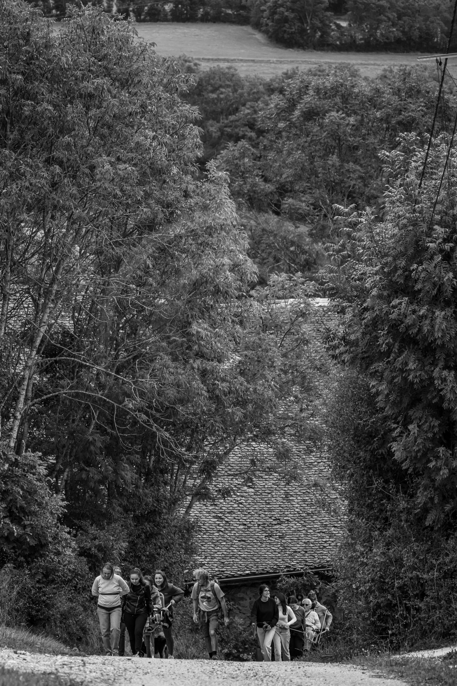 25 septembre 2024 : Promenade en joelette avec Bruno, accompagnateur en montagne et des élèves du lycée Sévigné de Gap