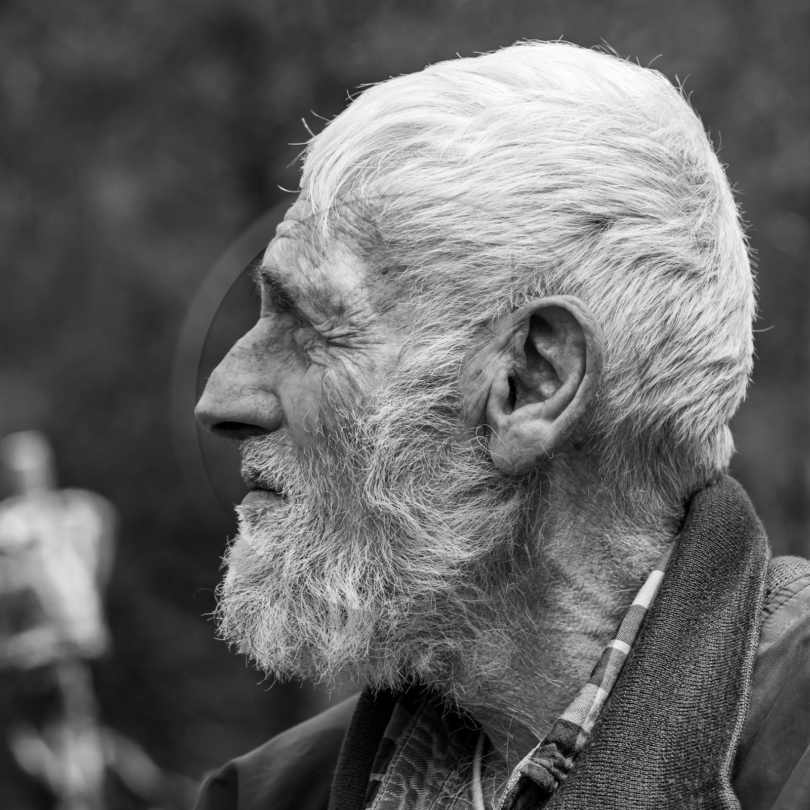 01 mai 2024 : chants, laine et jardinage