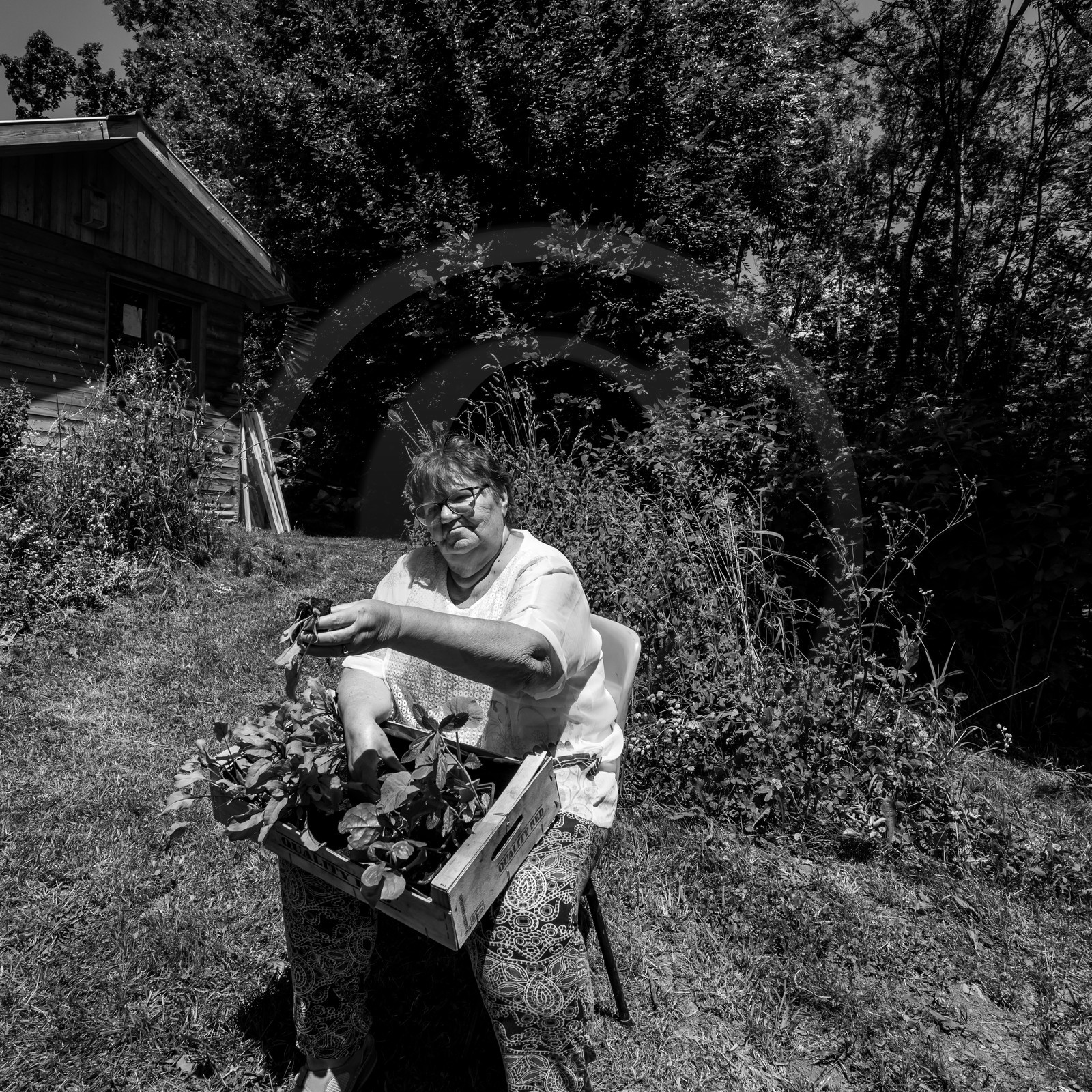 30 juin 2021 : Jardinage, jeux de cartes, masques