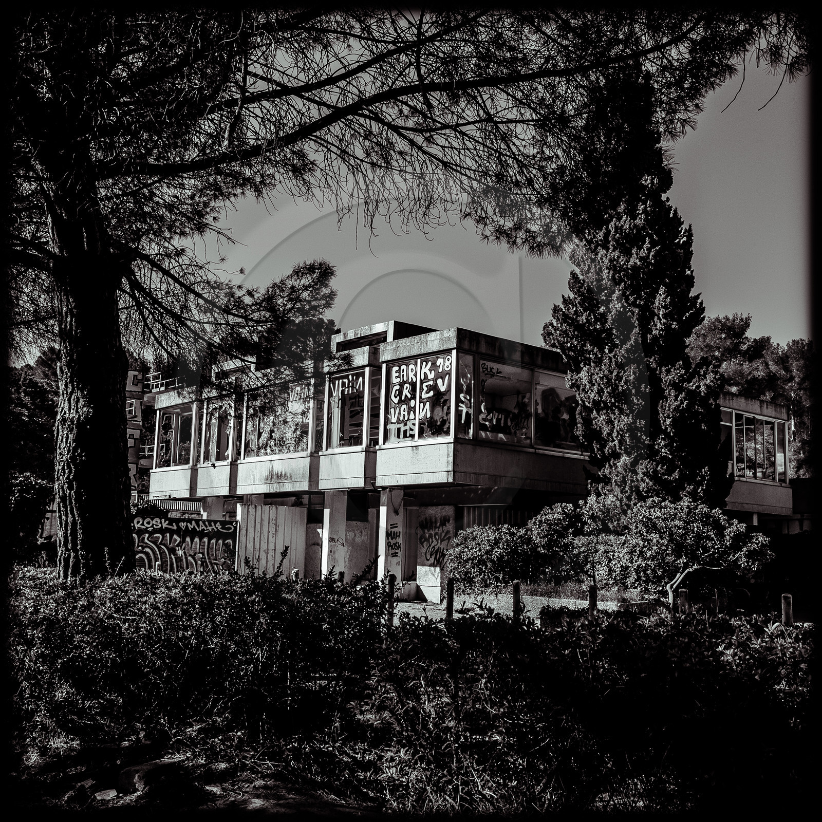 La piscine de Luminy (13) La piscine de Luminy (13)