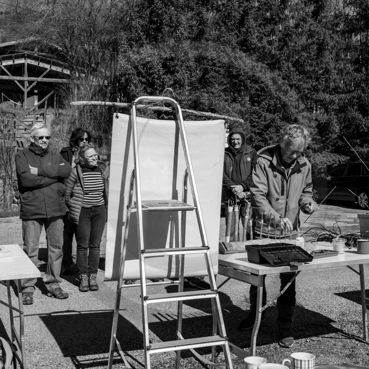 10 avril 2022 : Initiation à la greffe d'arbres fruitiers