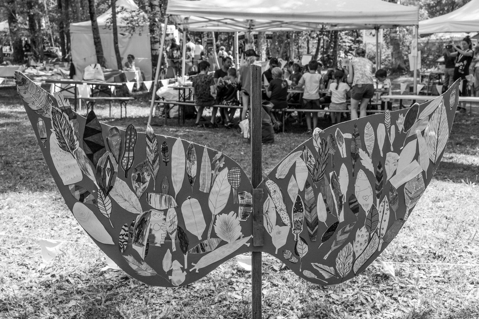 14 août 2025 : L'Echo des Mots