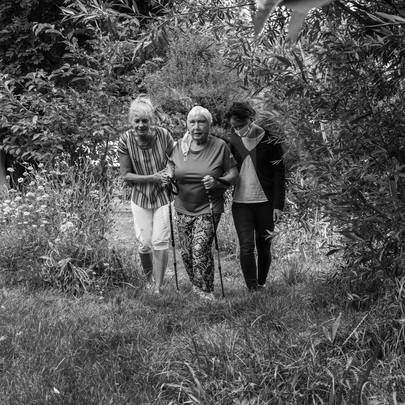 Promenades au jardin