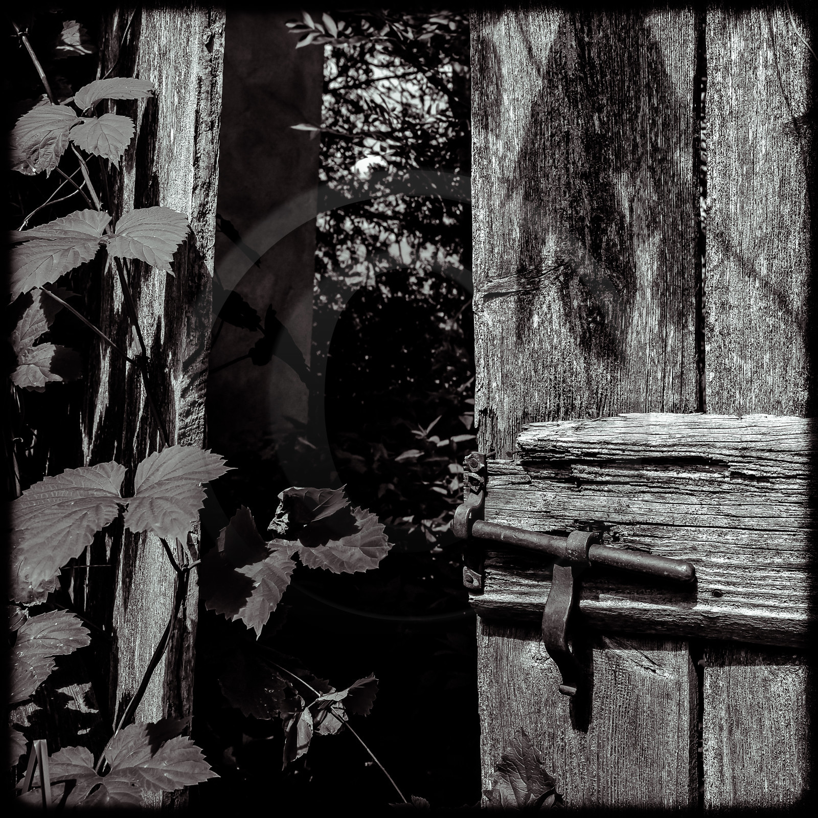Une maison abandonnée à Saint-Julien-en-Champsaur