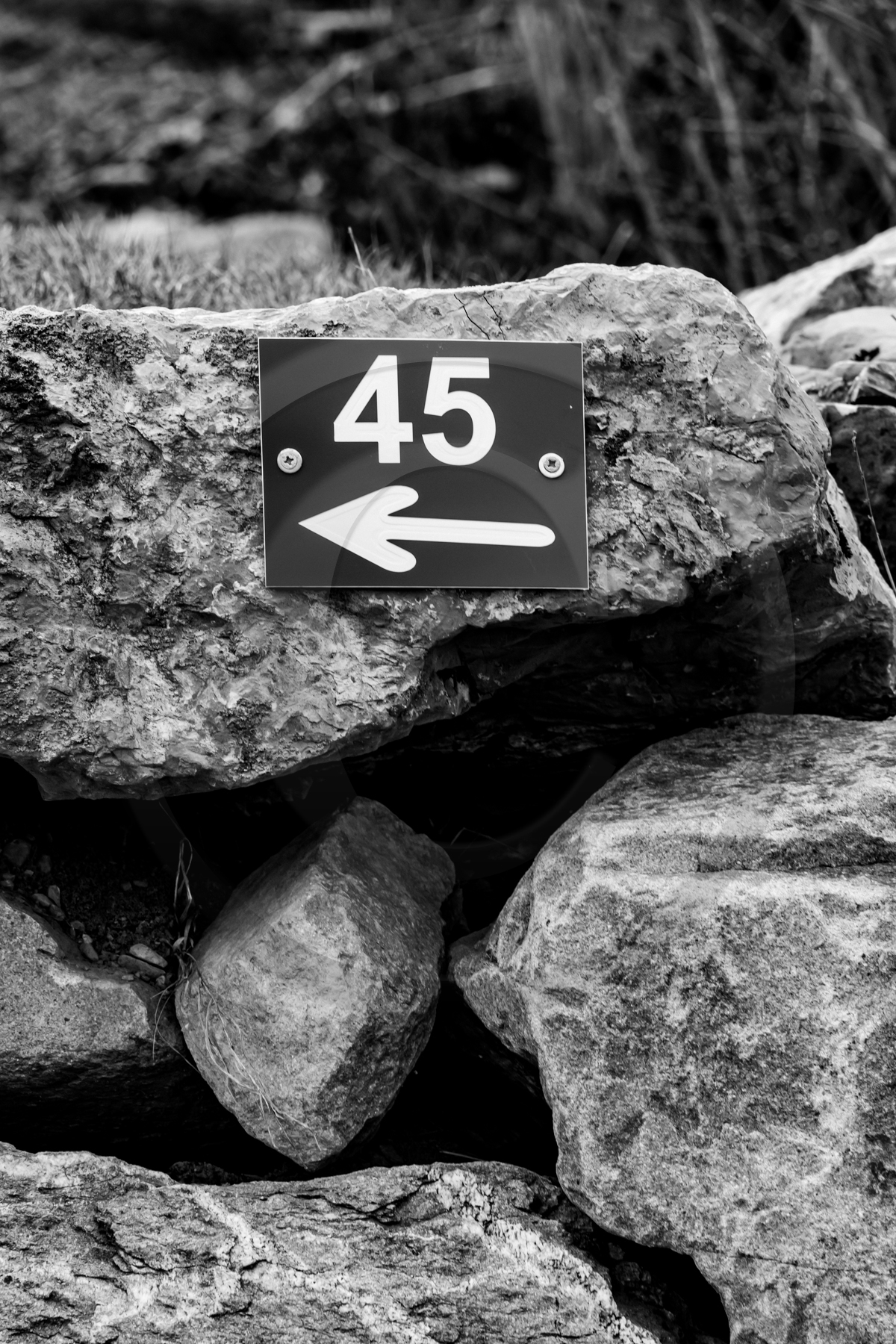 Des chiffres et des lettres Des chiffres et des lettres