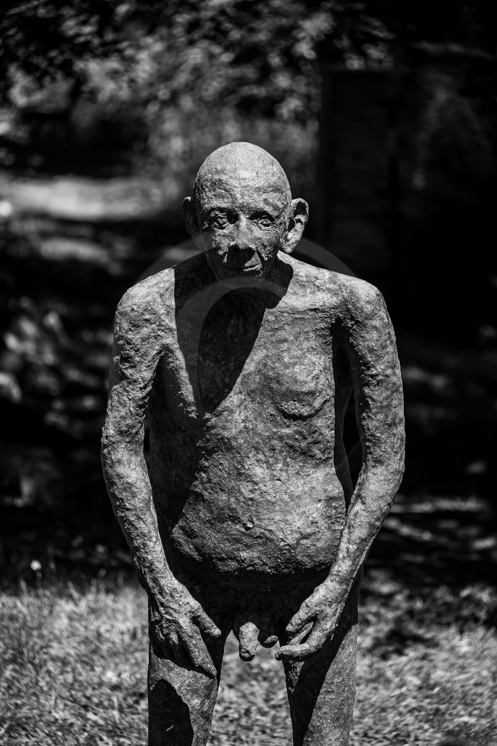 21 aout 2024 : Réalisation de Marcel Joli Coeur, l'homme de l'Ouort avec Barbara Fougnon, artiste plasticienne, et un anniversaire en chansons.