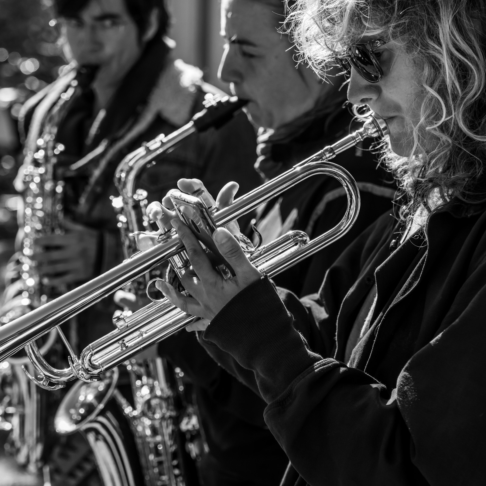 26 octobre 2025 : Les oiseaux de trottoir